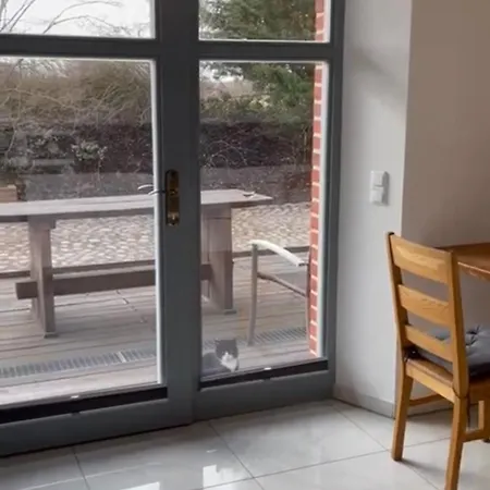 Apartment 4